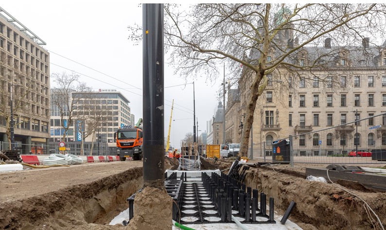 coolsingel_rotterdam_bomen-2.jpg