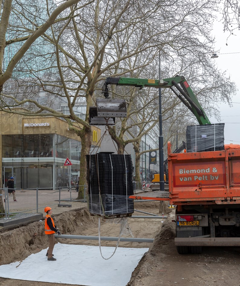 treeparkers_rotterdam_treebuilders_coolsingel_gemeente_rotterdam_cool.jpg